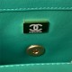 Mini FLAP BAG Lambskin Gold-Metal AS1787 Green A