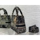 MEDIUM LADY D-LITE BAG Dior Jardin d'Hiver Embroidered Cotton with Velvet and Metallic Thread Black High