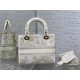 MEDIUM LADY D-LITE BAG Dior Jardin d'Hiver Embroiderey Gold High