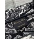 MEDIUM Dior BOOK TOTE Plan de Paris Embroidery Black/White High