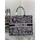 LARGE Dior BOOK TOTE Plan de Paris Embroidery Black/White High