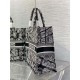 LARGE Dior BOOK TOTE Plan de Paris Embroidery Black/White High