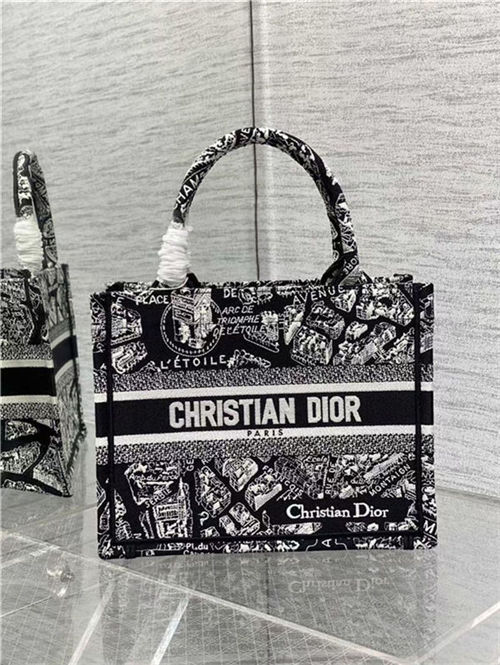 SMALL Dior BOOK TOTE Plan de Paris Embroidery Black/White High