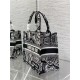 SMALL Dior BOOK TOTE Plan de Paris Embroidery Black/White High