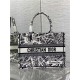 MEDIUM Dior BOOK TOTE Plan de Paris Embroidery White/Black High