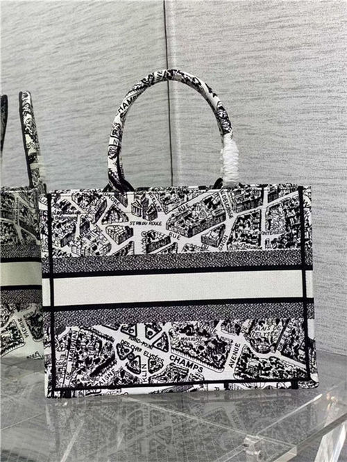 MEDIUM Dior BOOK TOTE Plan de Paris Embroidery White/Black High