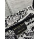 MEDIUM Dior BOOK TOTE Plan de Paris Embroidery White/Black High