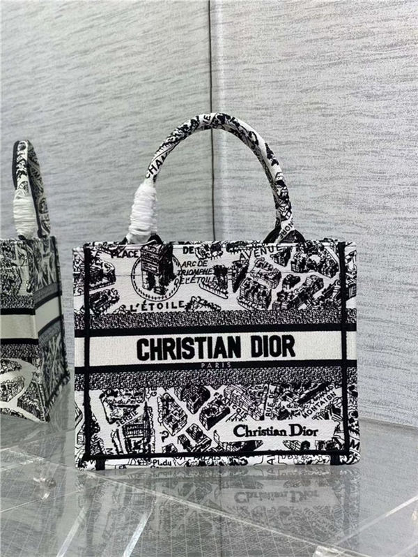 SMALL Dior BOOK TOTE Plan de Paris Embroidery White/Black High