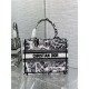 SMALL Dior BOOK TOTE Plan de Paris Embroidery White/Black High