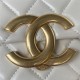 Chanel CLUTCH WITH CHAIN Shiny Lambskin & Gold-Tone Metal AP3854 White A