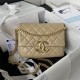 Chanel FLAP BAG Shiny Lambskin & Gold-Tone Metal AP3855 Beige A