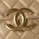 Chanel FLAP BAG Shiny Lambskin & Gold-Tone Metal AP3855 Beige A