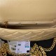 Chanel FLAP BAG Shiny Lambskin & Gold-Tone Metal AP3855 Beige A