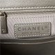 Chanel FLAP BAG Shiny Lambskin & Silver-Tone Metal AP3855 Silver A