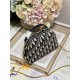 DIOR CARO D-COSY MINI BAG Dior Oblique Jacquard High