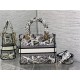 MEDIUM LADY D-LITE BAG Plan de Paris Embroidery White/Black High