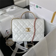 Chanel SMALL FLAP BAG WITH TOP HANDLE AS3908 Shiny Calfskin & Gold-Tone Metal White A