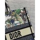 MEDIUM Dior BOOK TOTE Étoile de Voyage Embroidery High