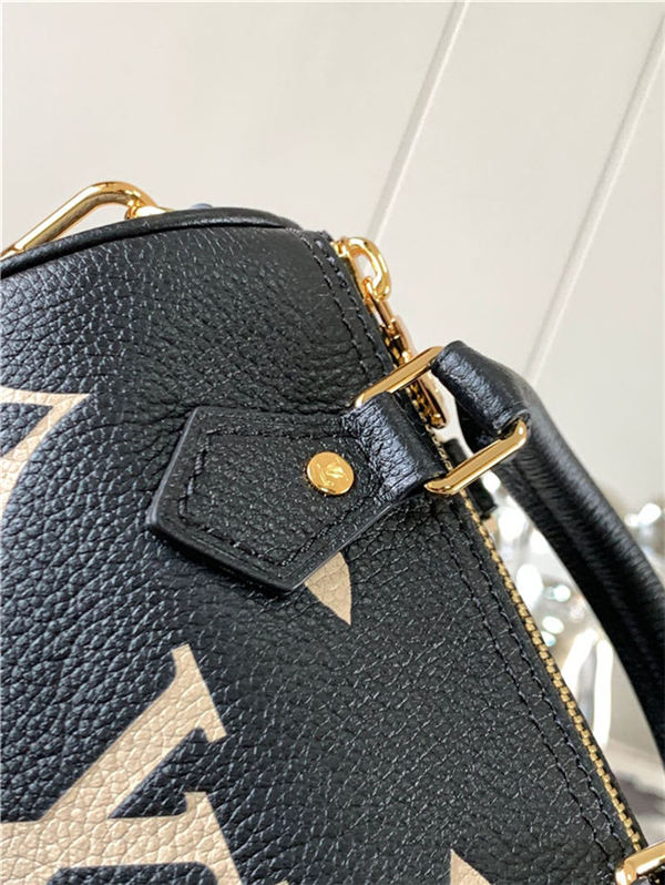 Louis Vuitton Nano Speedy M81456 (TOP) High