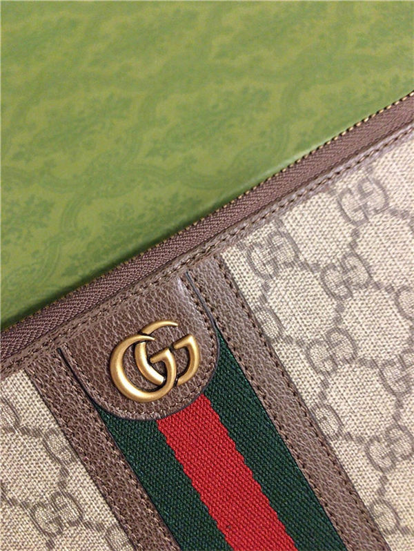 OPHIDIA POUCH WITH WEB GG Supreme canvas 672989 High