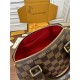 Louis Vuitton SPEEDY BANDOULIÈRE 20 Damier Ebene N40489 Top