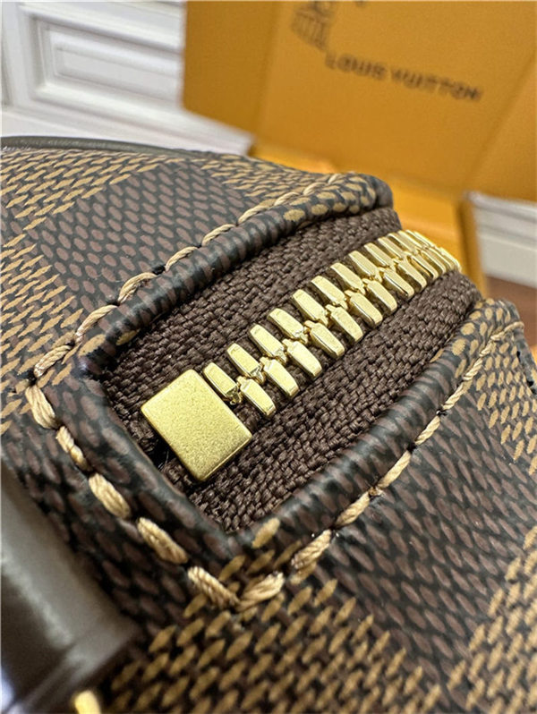 Louis Vuitton SPEEDY BANDOULIÈRE 20 Damier Ebene N40489 Top