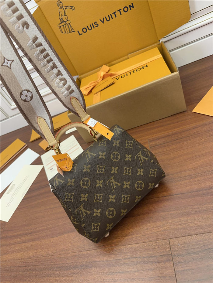 Louis Vuitton CLUNY MINI Monogram coated canvas M46055 Top