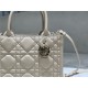 SMALL Dior BOOK TOTE Macrocannage Calfskin Beige High