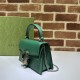 DIONYSUS MINI TOP HANDLE BAG 752029 Leather Green high