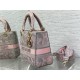 MEDIUM LADY D-LITE BAG Toile de Jouy Embroidery Pink-Grey High