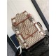 Dior Hit The Road Backpack Large Dior x Catus Jack High