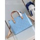 Louis Vuitton Reade PM Monogram Vernis M24144 Blue High