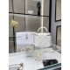 Chanel SMALL VANITY WITH CHAIN AP2198 Lambskin & Gold-Tone Metal White High