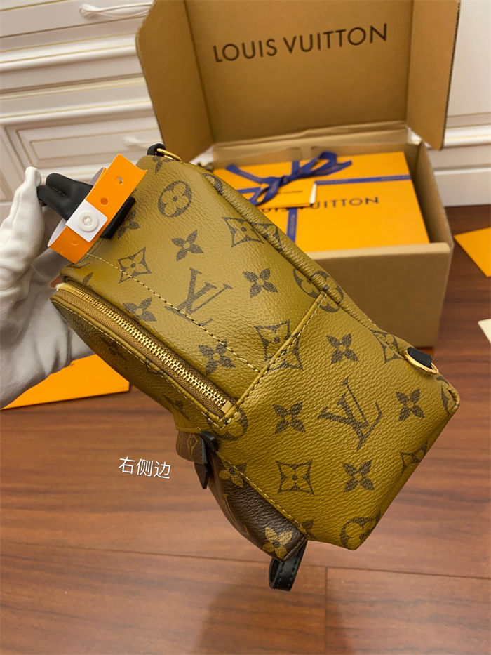 Louis Vuitton Mini Palm Springs Backpack M44872 Top