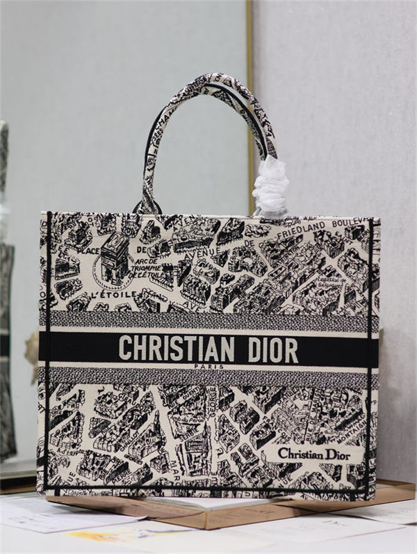 LARGE Dior BOOK TOTE Plan de Paris Embroidery Beige High