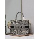 MEDIUM Dior BOOK TOTE Plan de Paris Embroidery Beige High