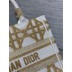 SMALL Dior BOOK TOTE Macrocannage Embroidery High