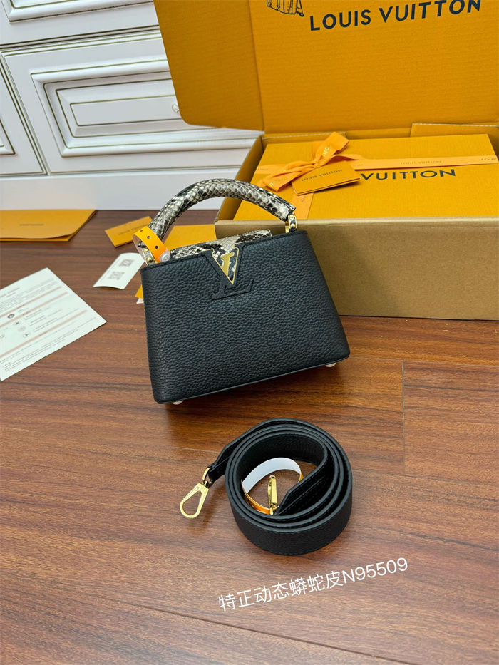 Louis Vuitton CAPUCINES MINI Taurillon Leather N95509 Top