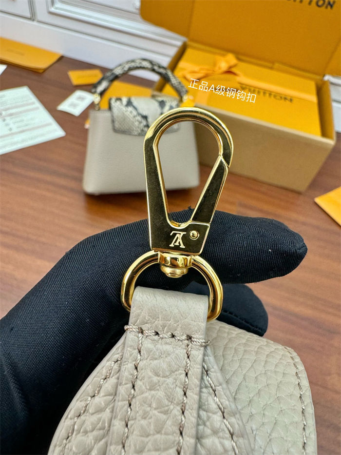 Louis Vuitton CAPUCINES MINI Taurillon Leather N81258 Top