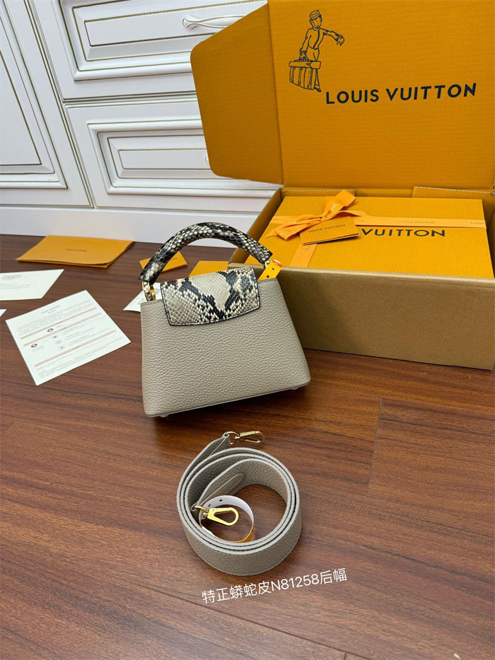 Louis Vuitton CAPUCINES MINI Taurillon Leather N81258 Top