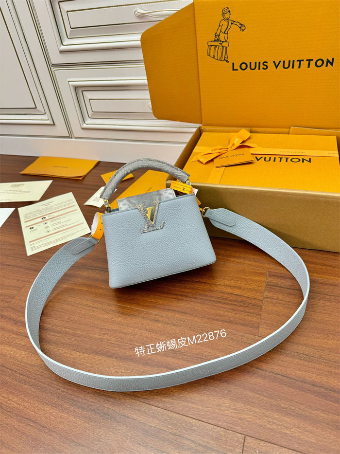 Louis Vuitton CAPUCINES MINI Taurillon Leather M22876 Top