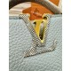 Louis Vuitton CAPUCINES MINI Taurillon Leather M22876 Top