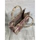 SMALL Dior BOOK TOTE Toile de Jouy Embroidery Sauvage Raffia High