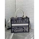 SMALL Dior BOOK TOTE Toile de Jouy Reverse Embroidery Blue With Strap High