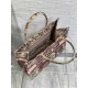 MEDIUM Dior BOOK TOTE Toile de Jouy Embroidery Sauvage Raffia High