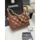 Chanel SMALL HOBO BAG AS4922 Shiny Lambskin & Gold Metal A