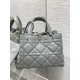 DIOR TOUJOURS BAG MEDIUM Macrocannage Calfskin Stone Gray High