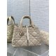 DIOR TOUJOURS BAG MEDIUM Macrocannage Calfskin Powder Beige High