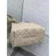 DIOR TOUJOURS BAG MEDIUM Macrocannage Calfskin Powder Beige High