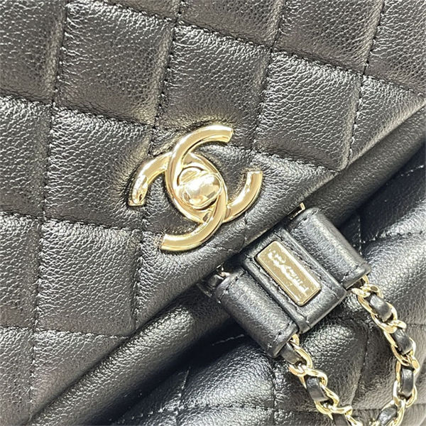 Chanel Duma Backpack 3618 Calfskin Gold-Tone Metal Black A